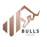 Bulls_Girisim__BULGS__halka_arz_tarihi_ackland_1739286200